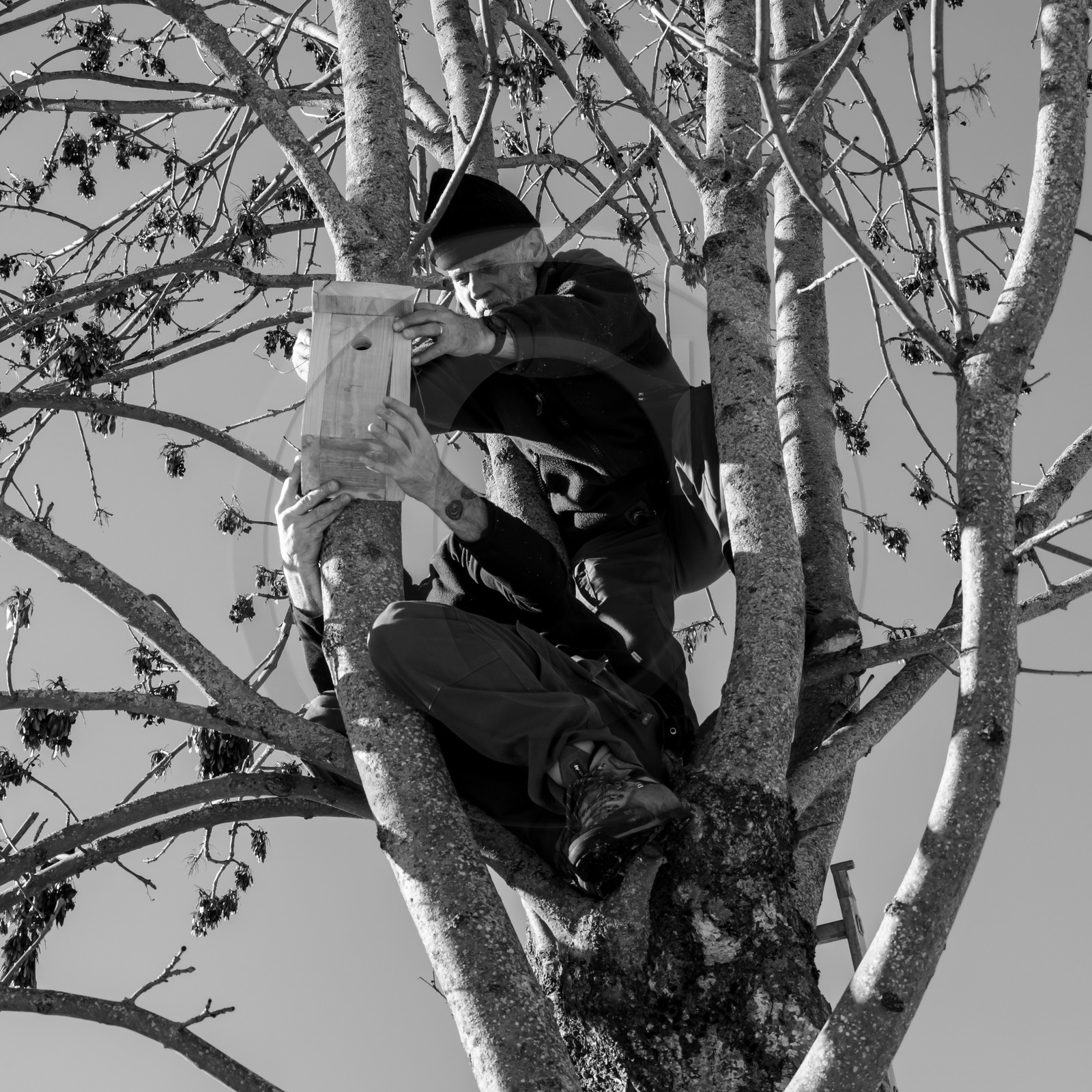 06 février 2019 : la pose des nichoirs