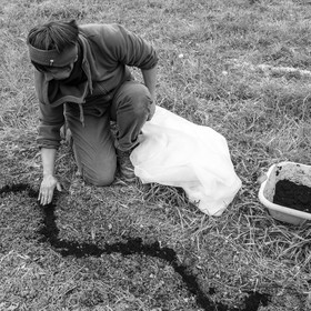 03 mai 2017 - Bac, semis et plantations