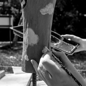 11, 12 et 13 août 2021 : L'Echo des Mots