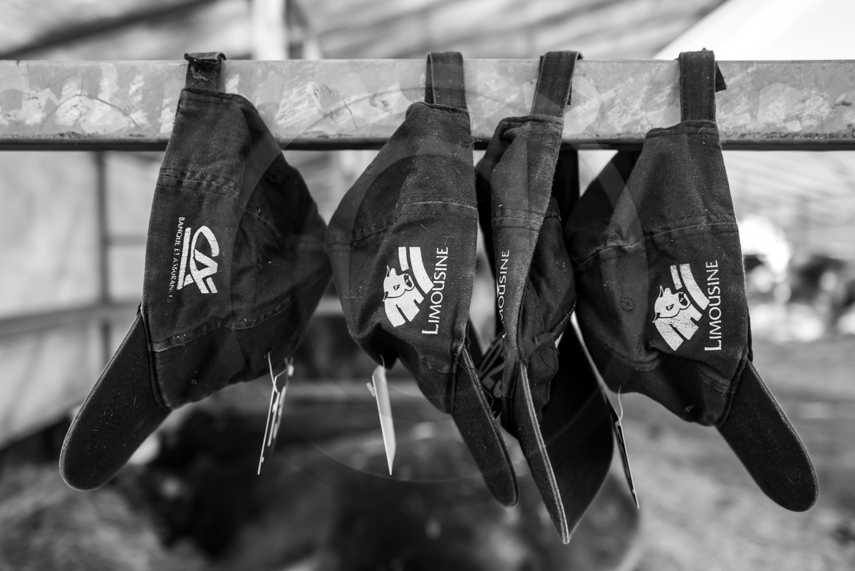 Rencontres paysannes à Saint-Bonnet en Champsaur