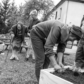 03 mai 2017 - Bac, semis et plantations