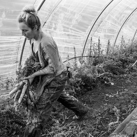 Maraichage biologique dans le Champsaur