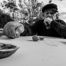 Semis, tournesols et jeux