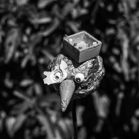 16 juillet 2025 : Les Triplettes