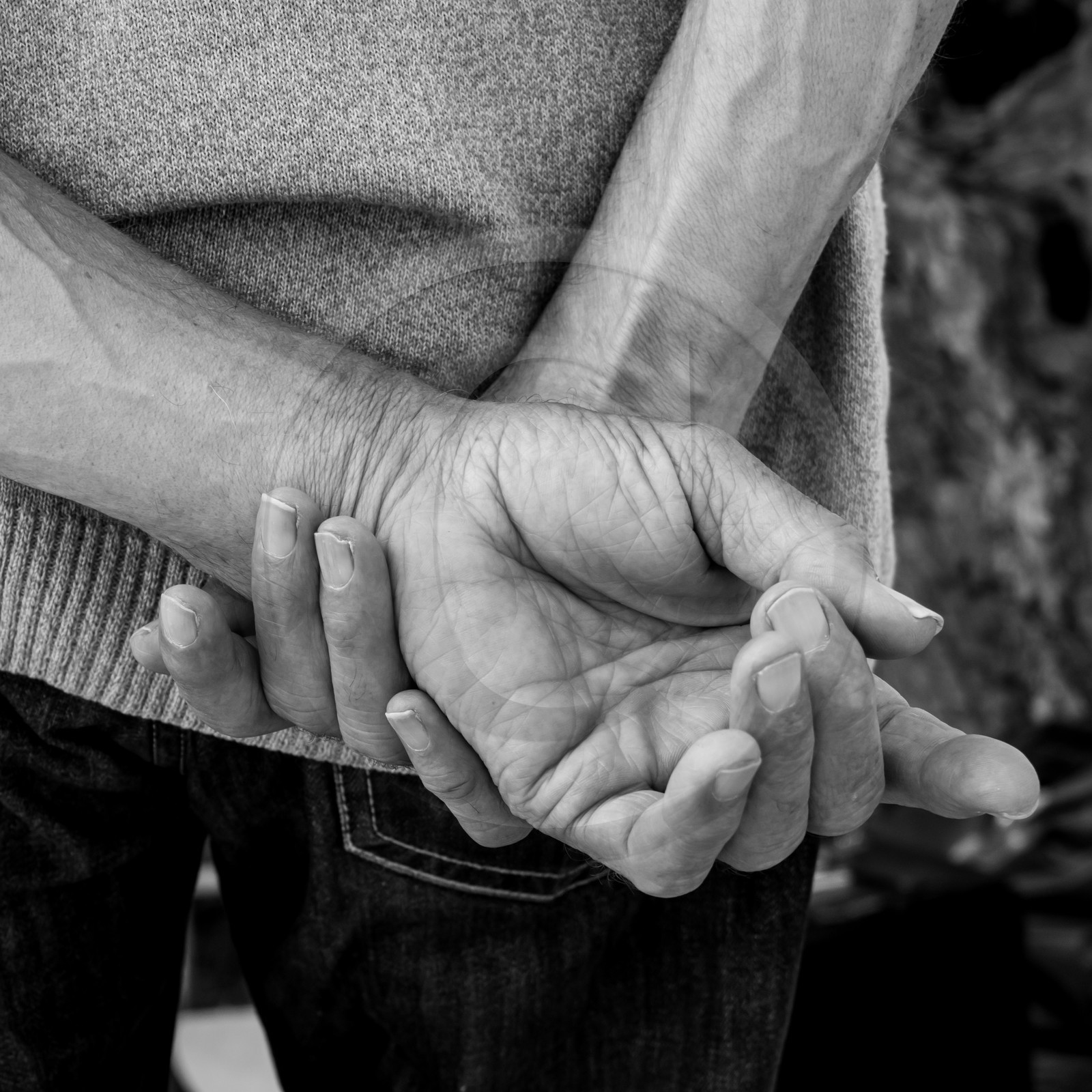 21 juin 2017 - Installation des épouvantails