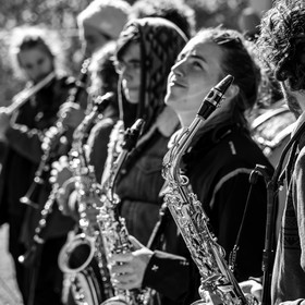 26 octobre 2025 : Les oiseaux de trottoir