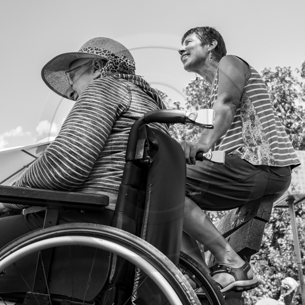 29 juin 2022 : Découverte des plantes sauvages