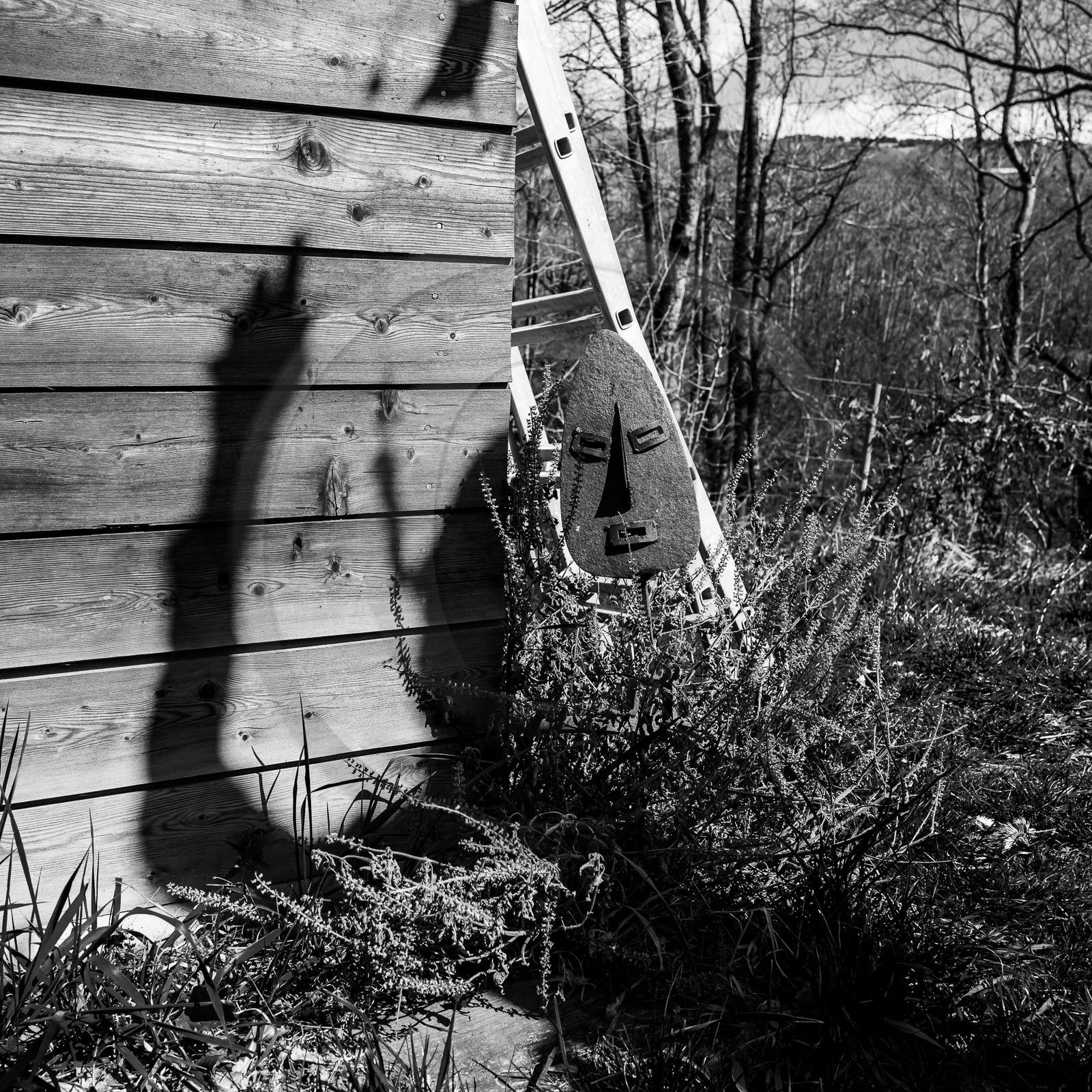 05 avril 2023 : C'est la reprise à l'Ouort