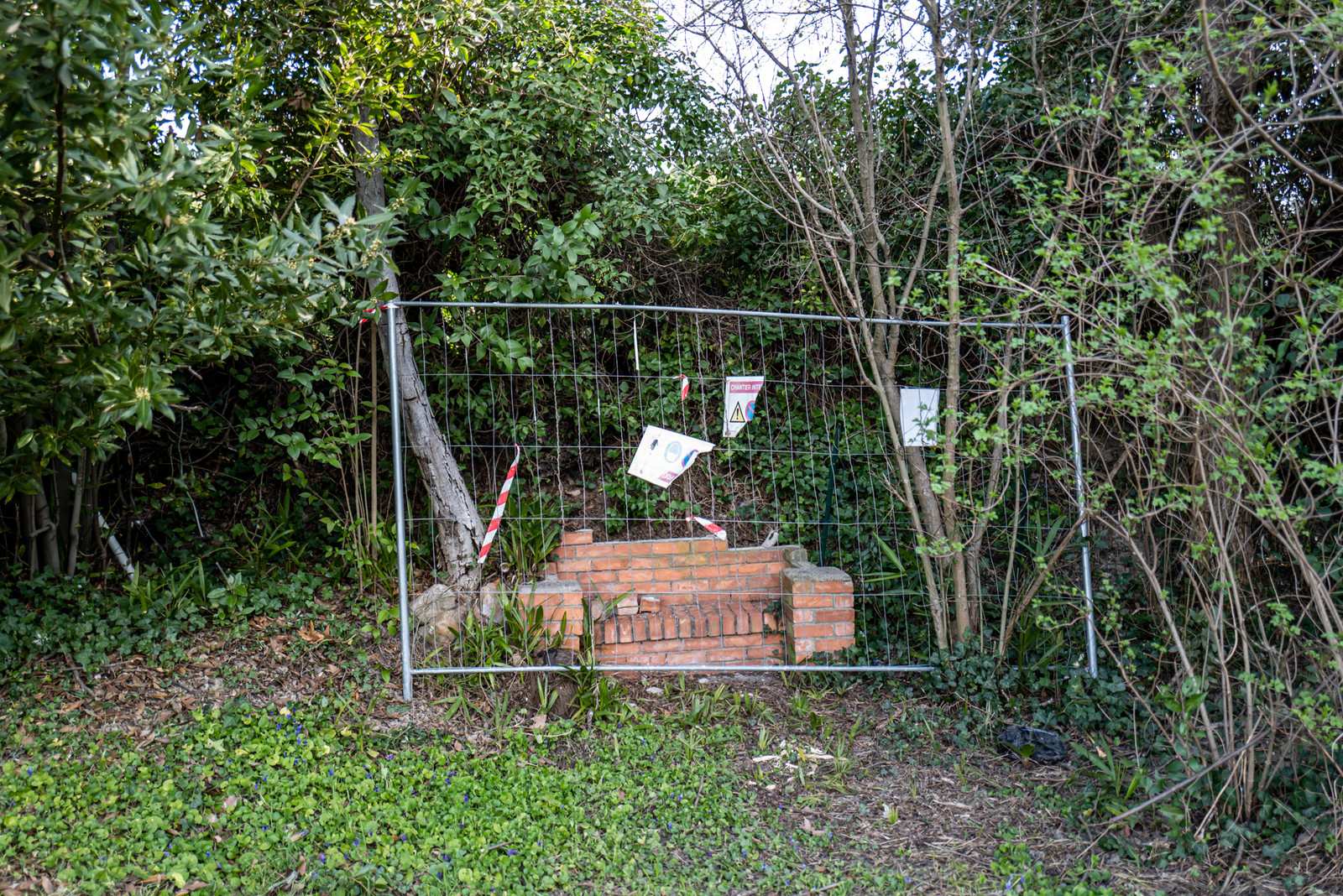 28 février 2025 : Manosque - Maison de Jean Giono - Rénovation et maison de site