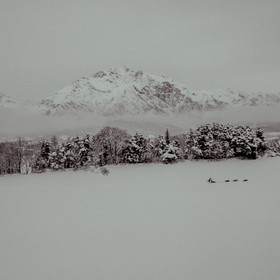 La Valgaude Traineau 2015