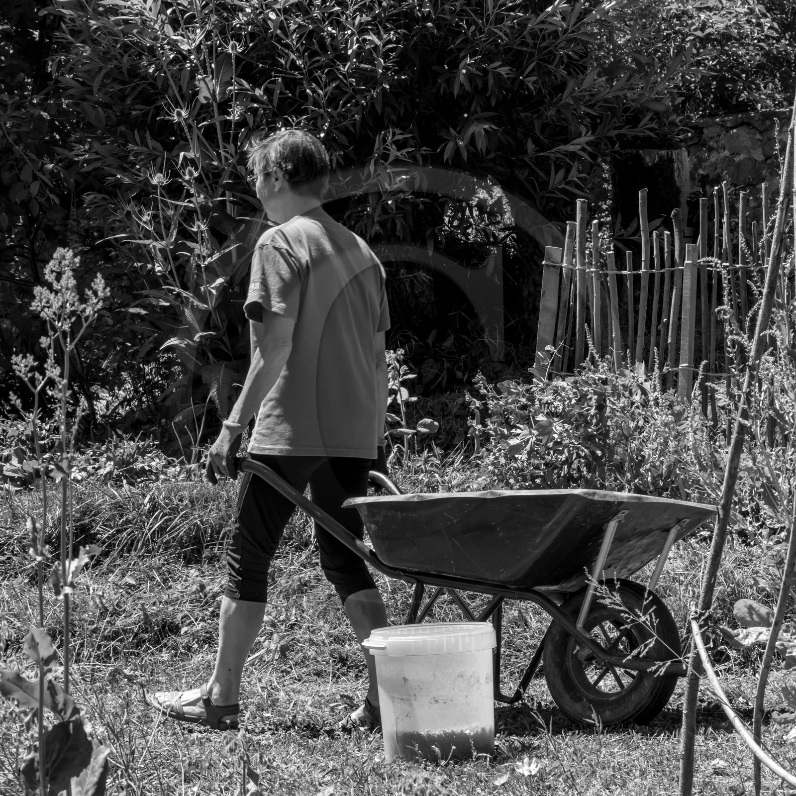 30 juin 2021 : Jardinage, jeux de cartes, masques