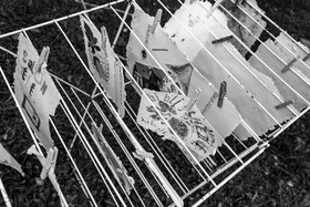 Présentation des réalisation de la saison à l'occasion de la semaine nationale des aidants - Avec la participation de Territoires Aidants