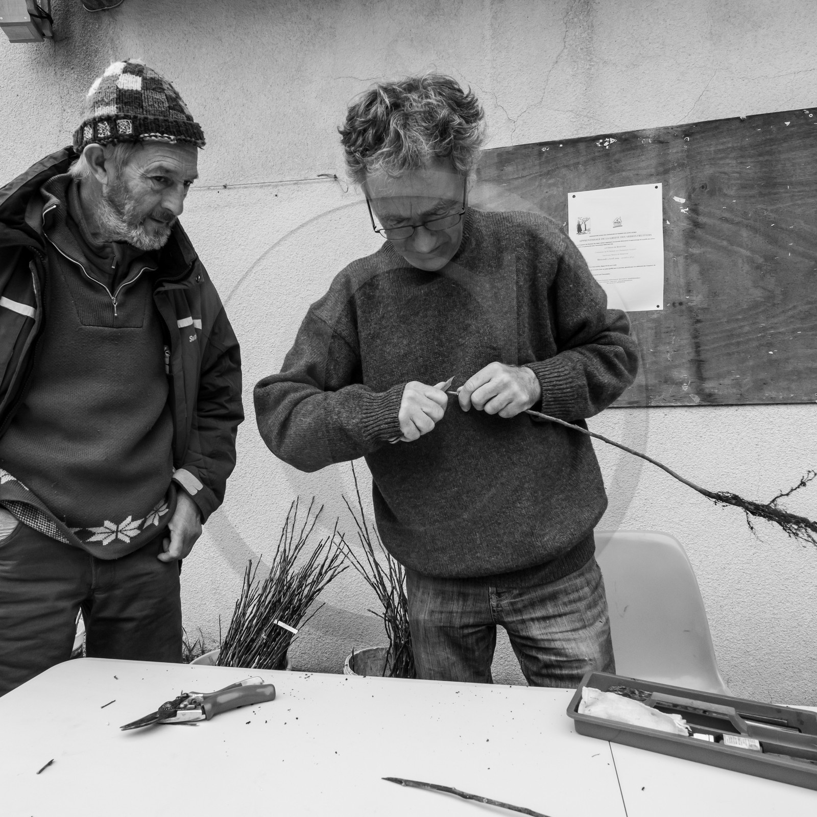 03 avril 2019 : Initiation à la greffe d'arbres fruitiers