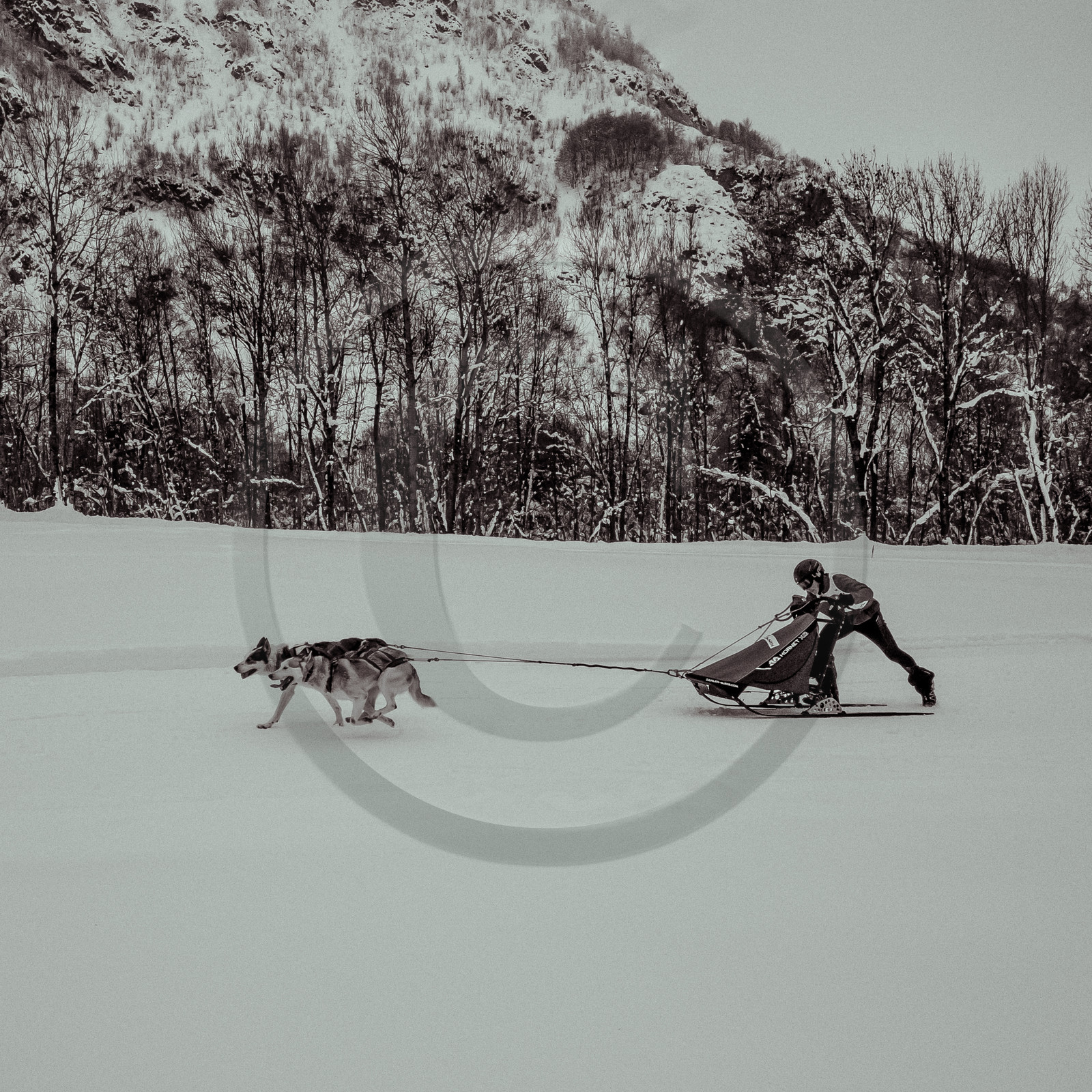 La Valgaude Traineau 2015