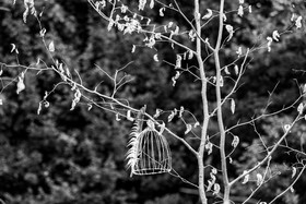 27 août 2025 : Jeux, tissages et photos