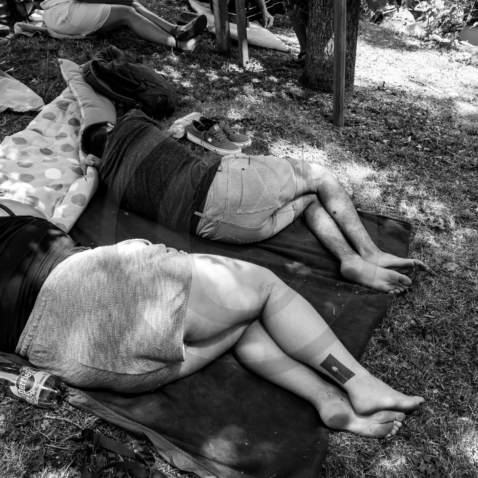 07 août 2017 - Sieste Musicale 07 août 2017 - Sieste Musicale