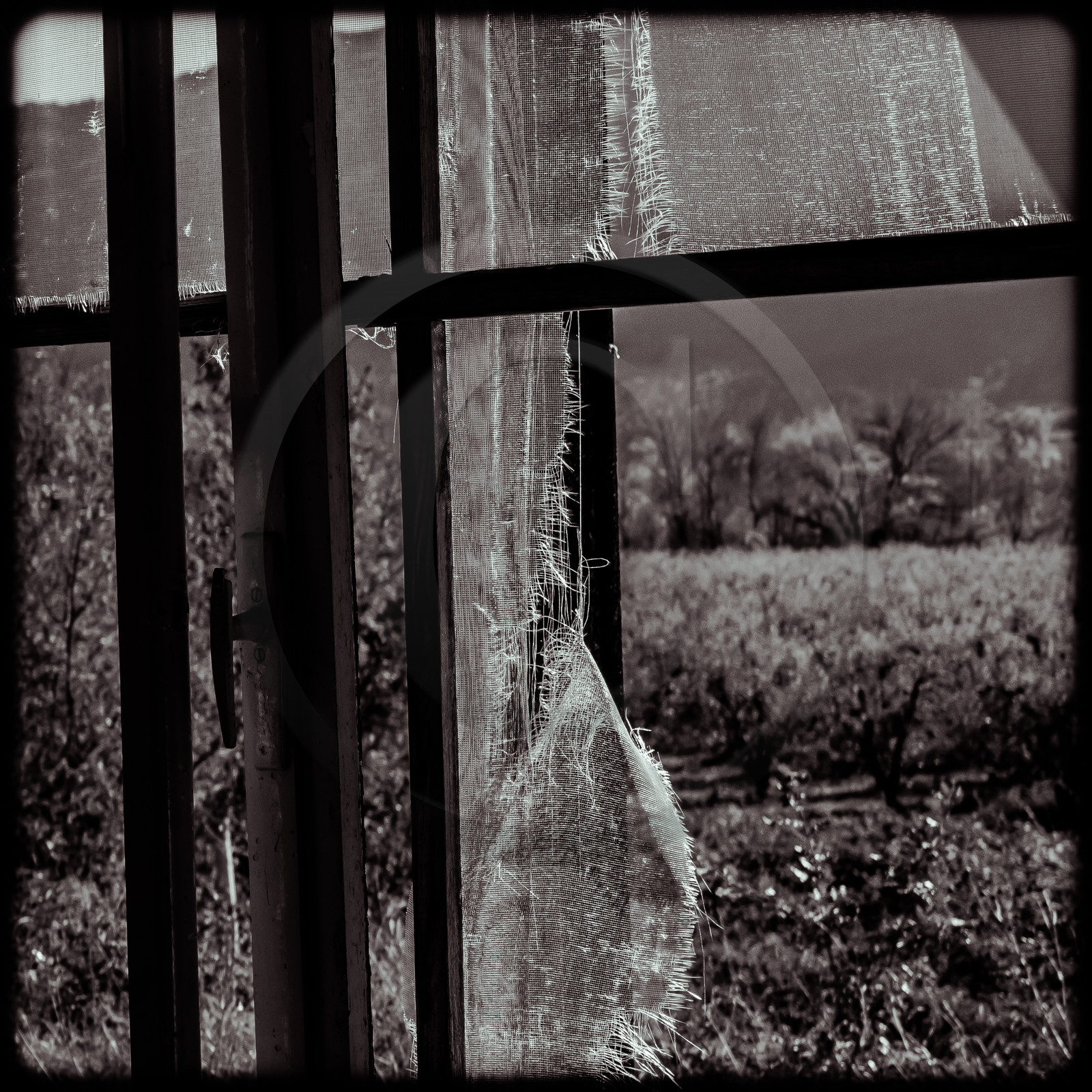 Le Relais Boré Le Relais Boré