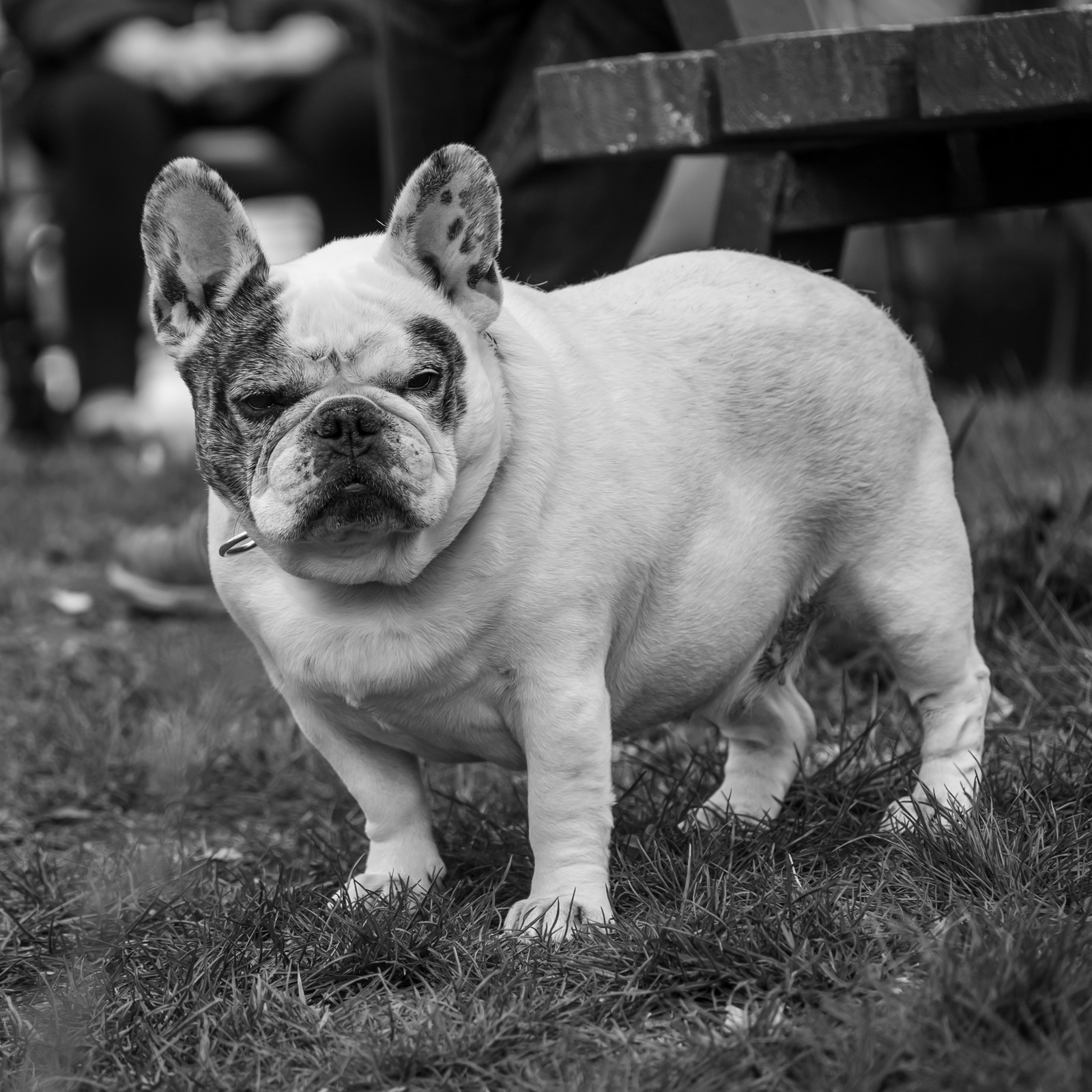 02 avril 2025 : c'est la reprise à l'Ouort