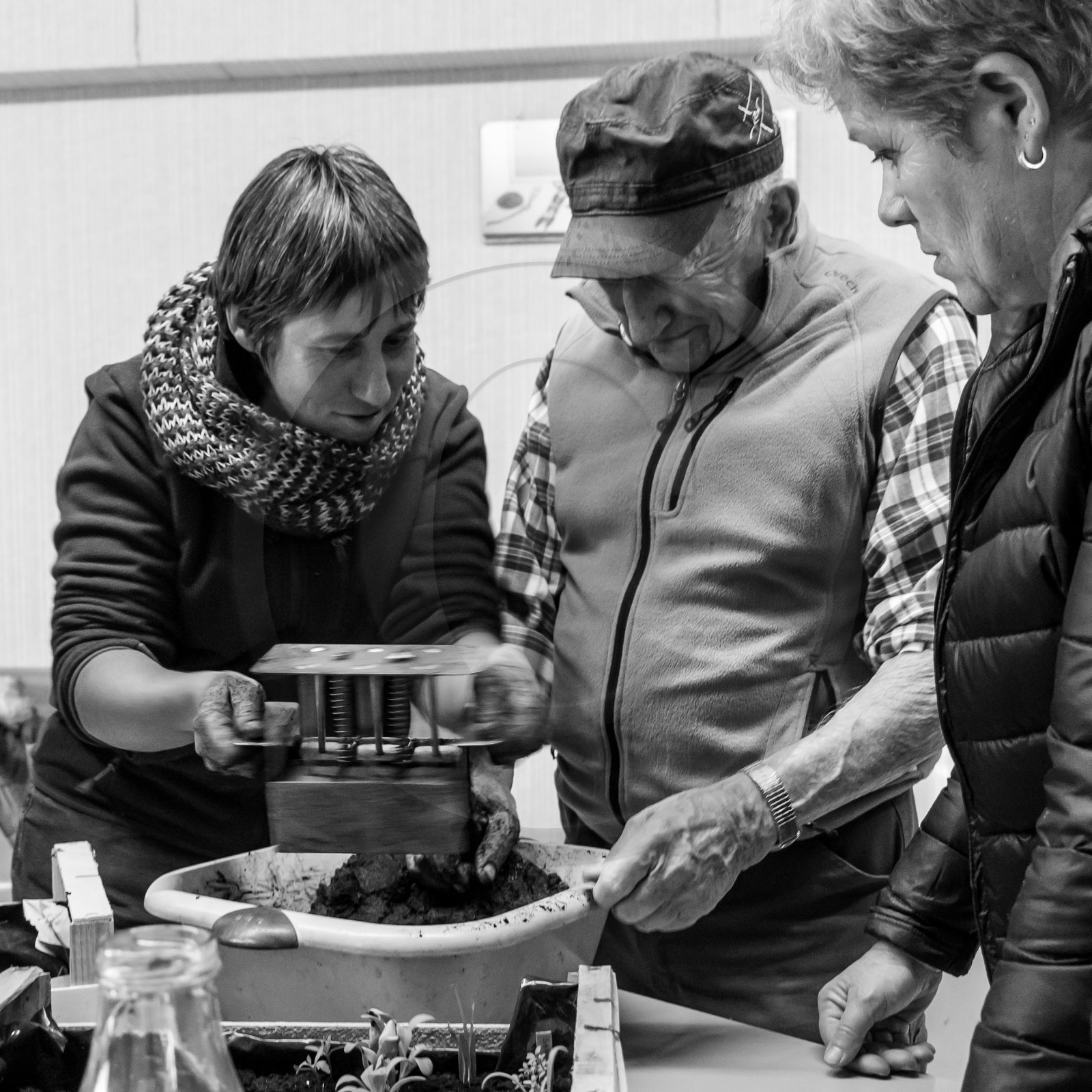 Atelier repiquage et semis - 26 04 2017