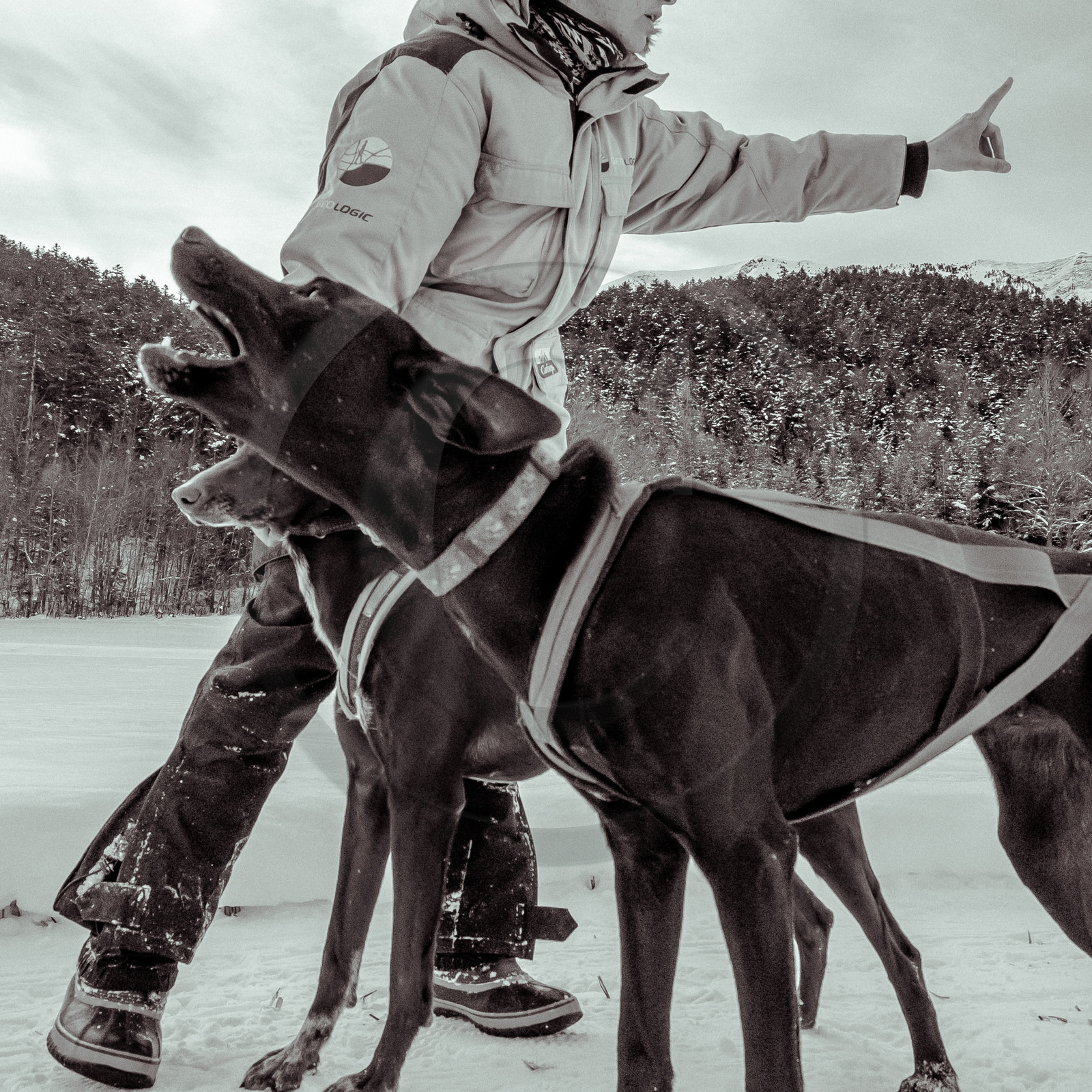 La Valgaude Traineau 2015