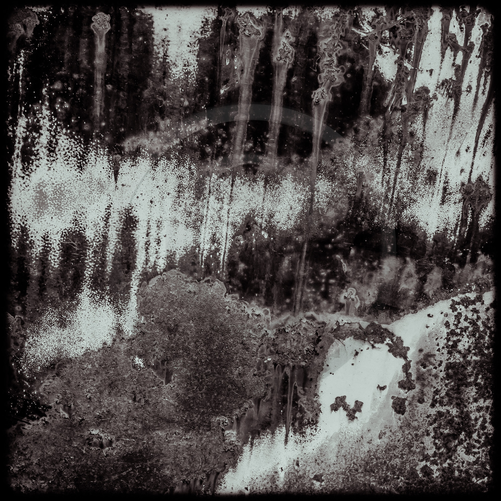 Un cimetière de voitures