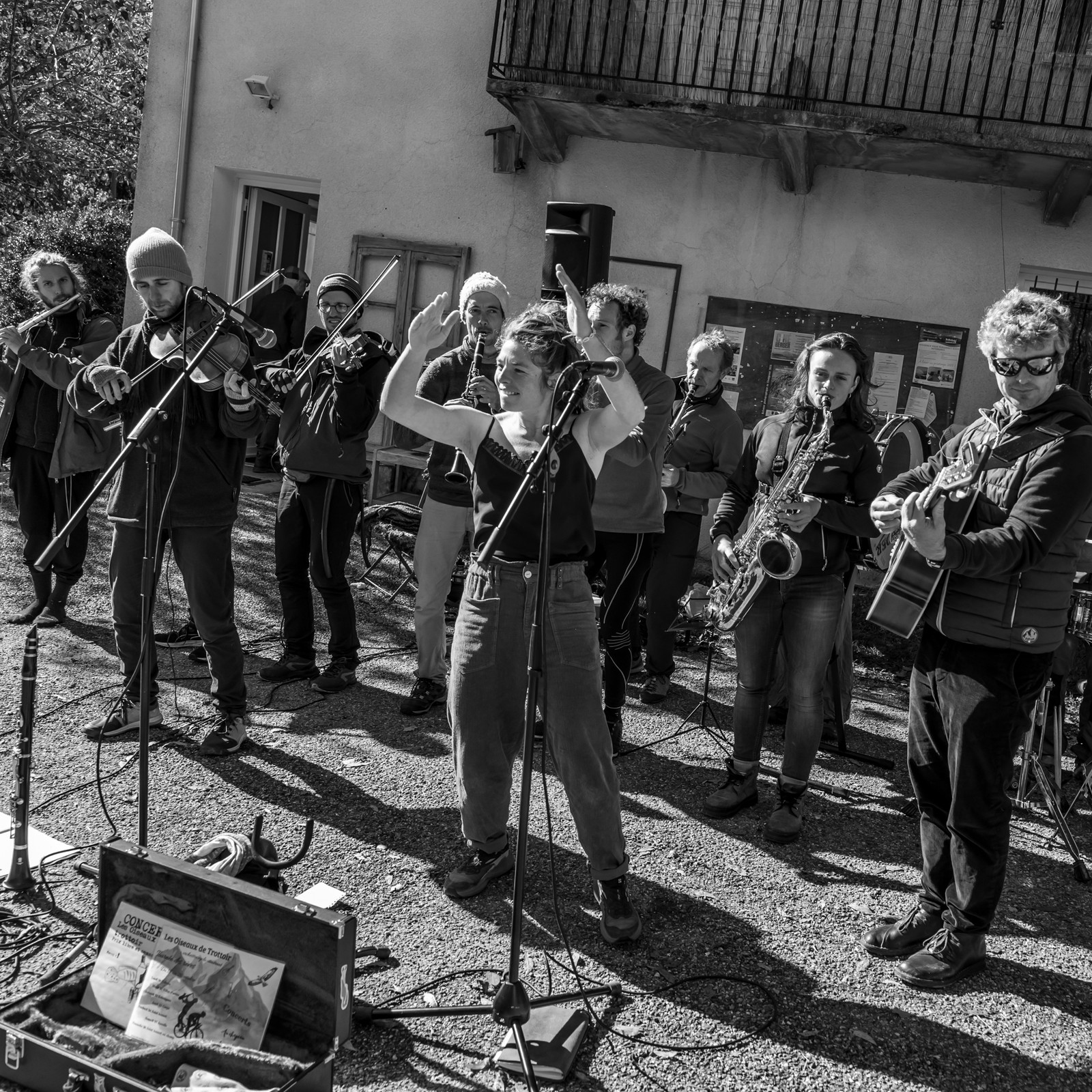 26 octobre 2025 : Les oiseaux de trottoir