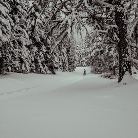 La Valgaude Traineau 2015