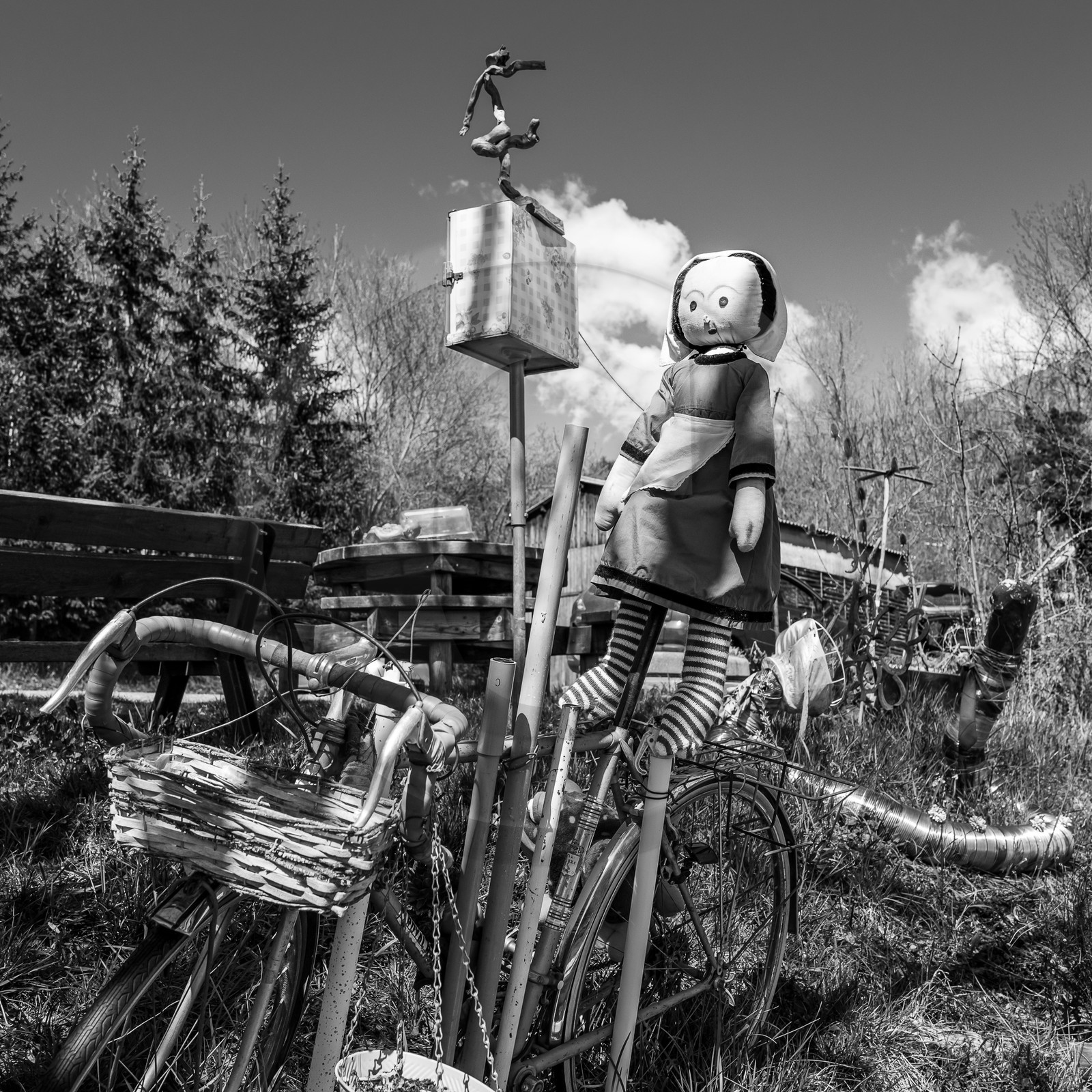 05 avril 2023 : C'est la reprise à l'Ouort