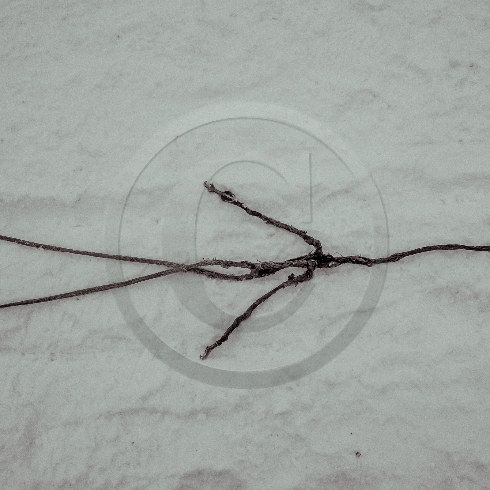 La Valgaude Traineau 2015