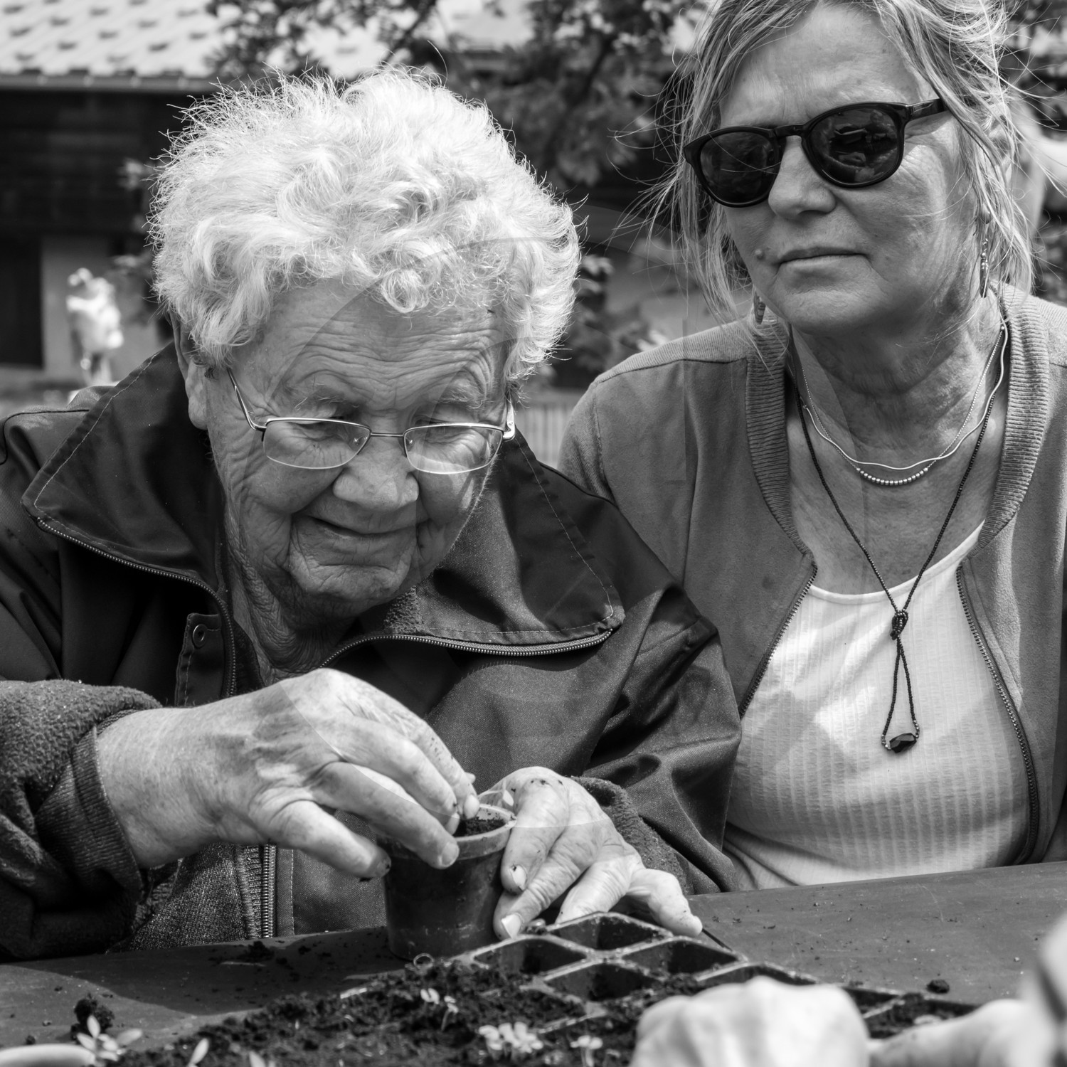 Semis et arrosages Semis et arrosages