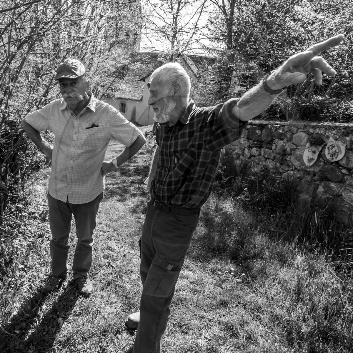 Atelier laine et promenade au jardin Atelier laine et promenade au jardin