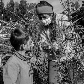 Semis, tournesols et jeux