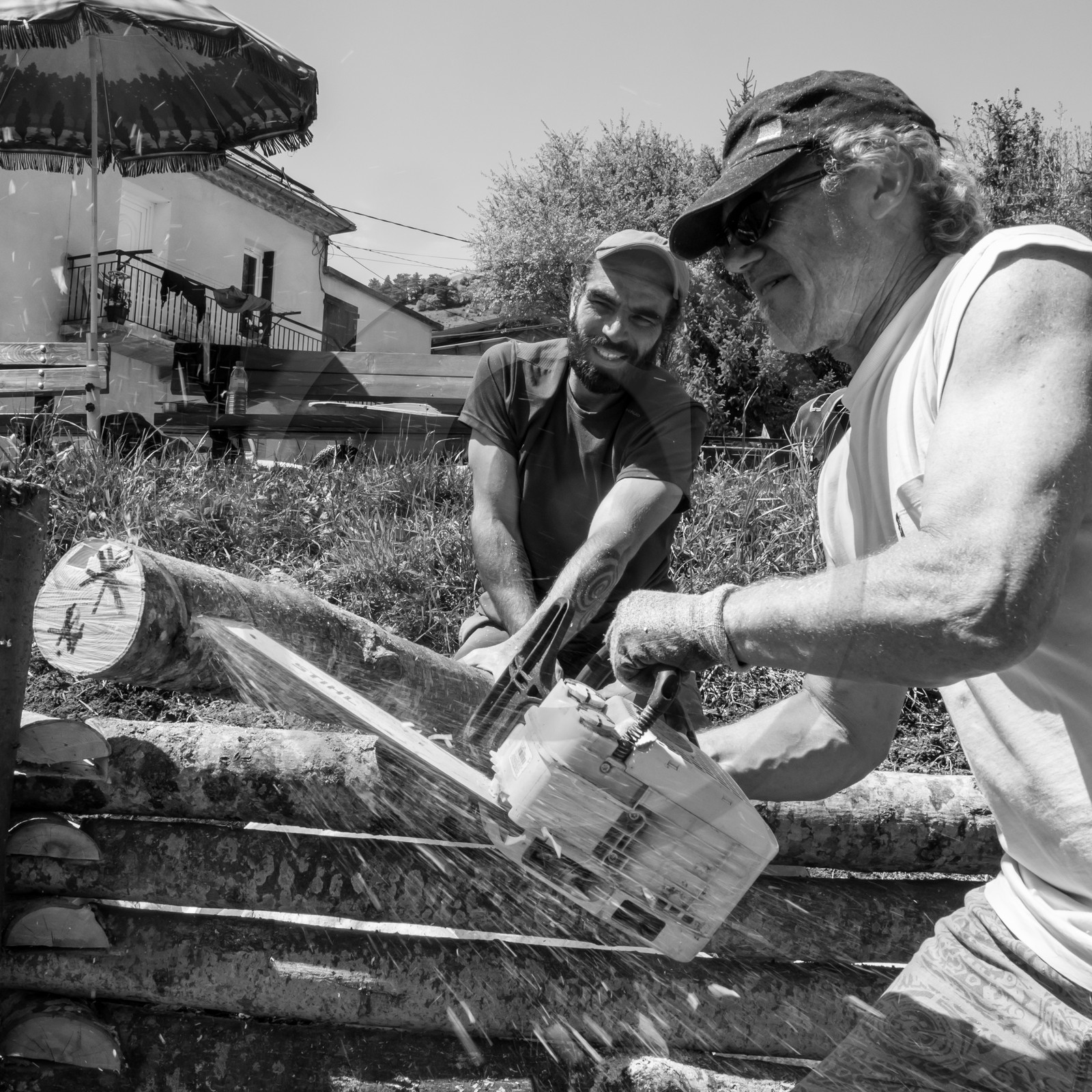 31 mai 2017 - Jardinage 31 mai 2017 - Jardinage