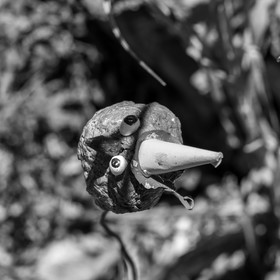 16 juillet 2025 : Les Triplettes