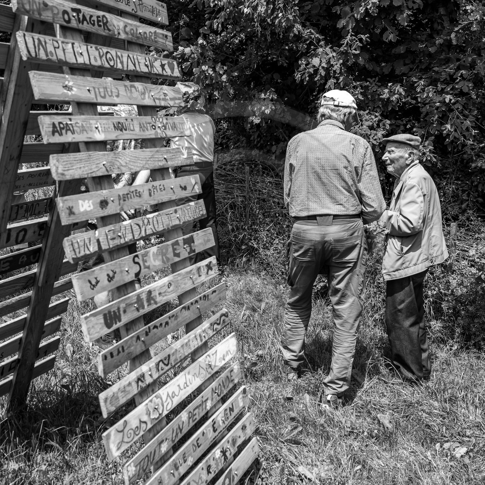 21 juin 2023 : Découverte botanique