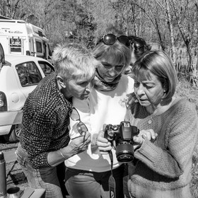 Nettoyage du terrain - Coupe du bois - 29 03 17