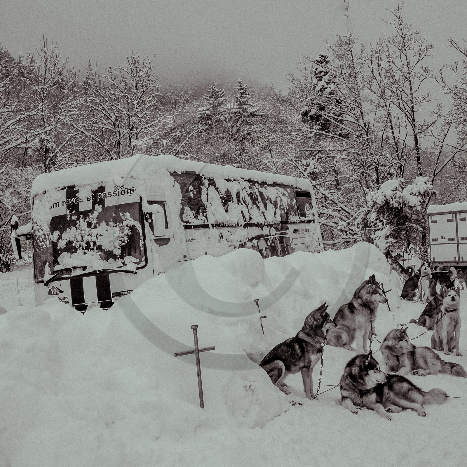 La Valgaude Traineau 2015 La Valgaude Traineau 2015