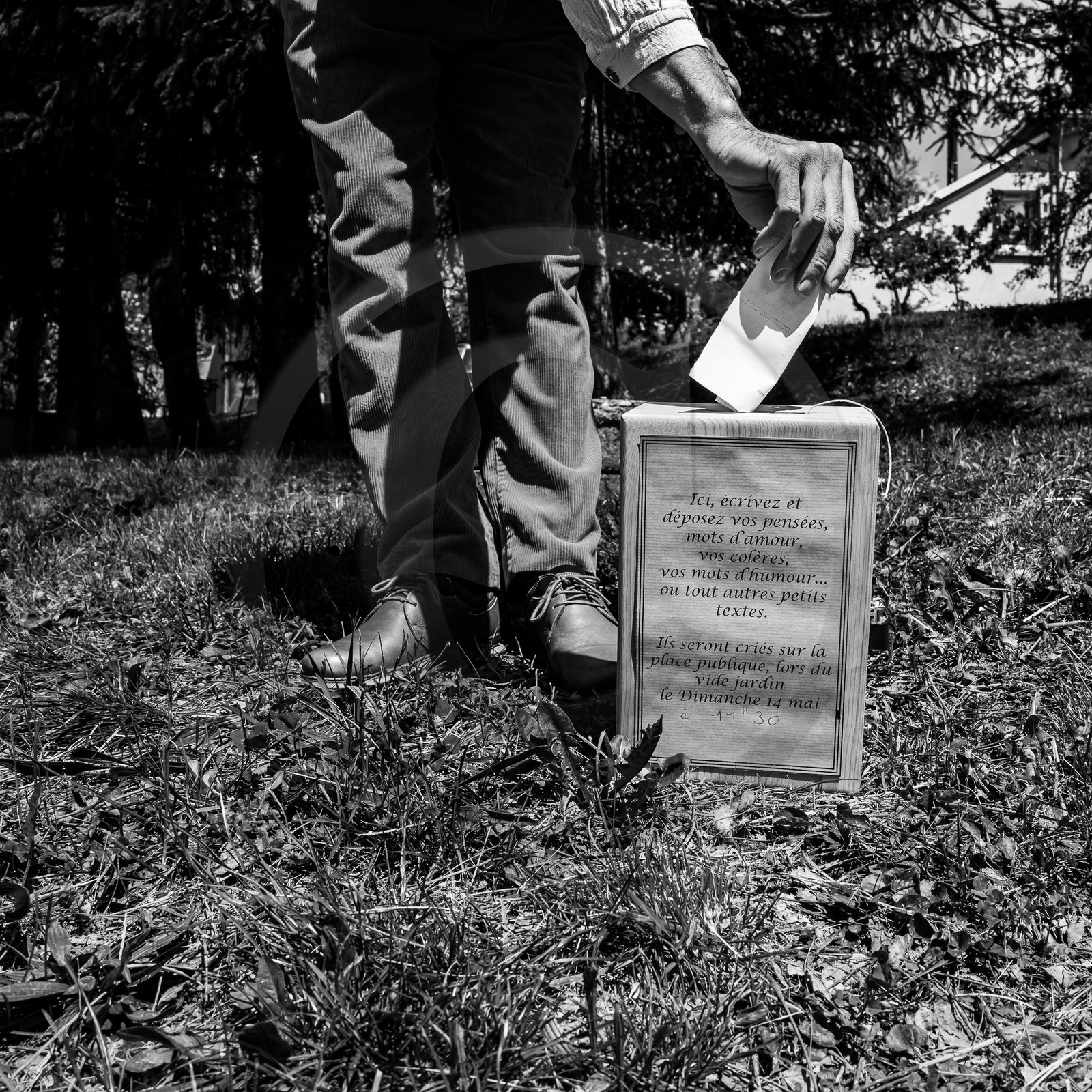 14 mai 2023 : Vide-Jardin