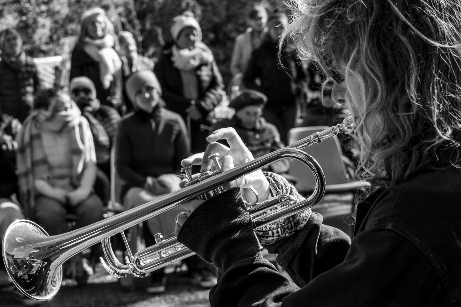 26 octobre 2025 : Les oiseaux de trottoir
