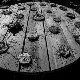 Activités au jardin
