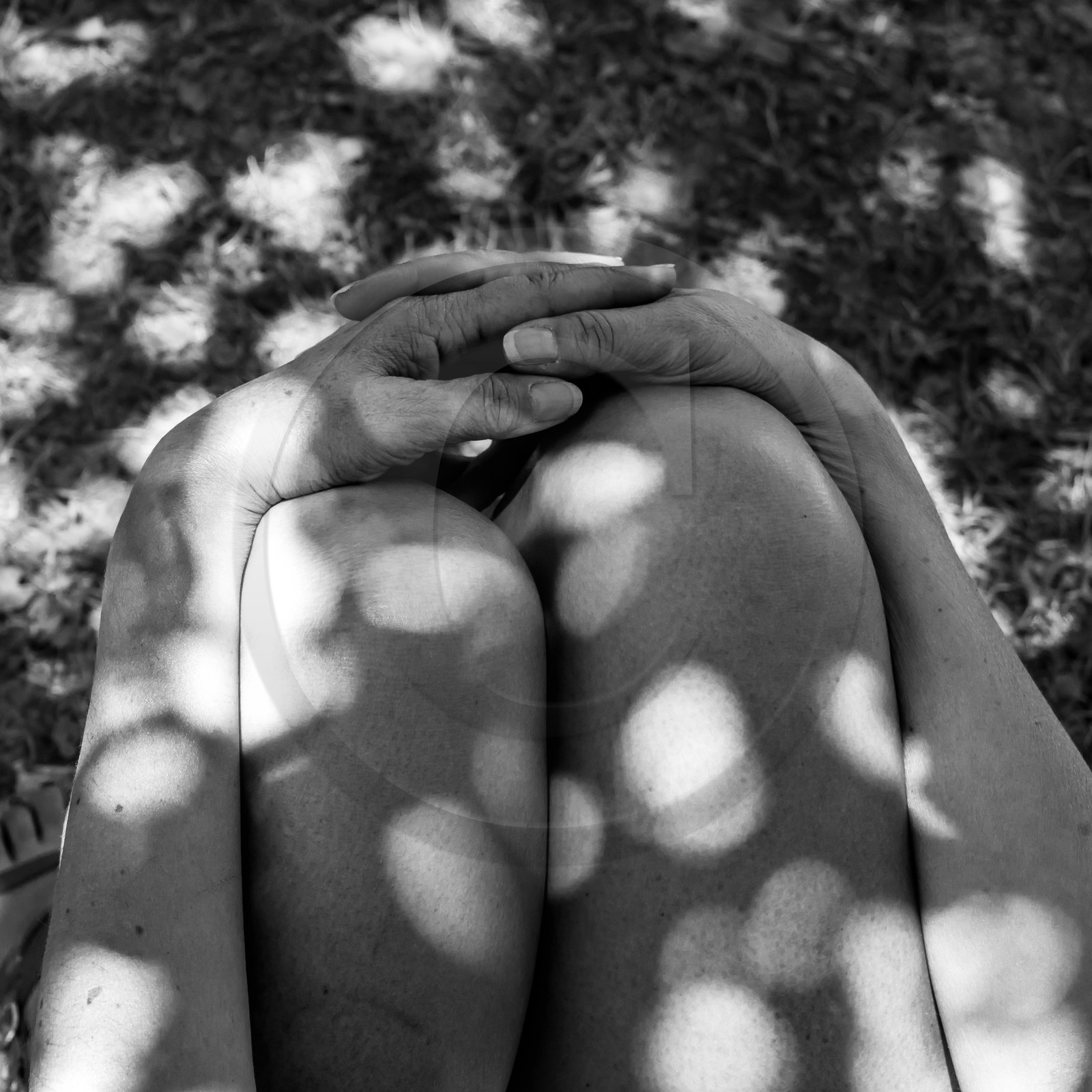 07 août 2017 - Sieste Musicale 07 août 2017 - Sieste Musicale