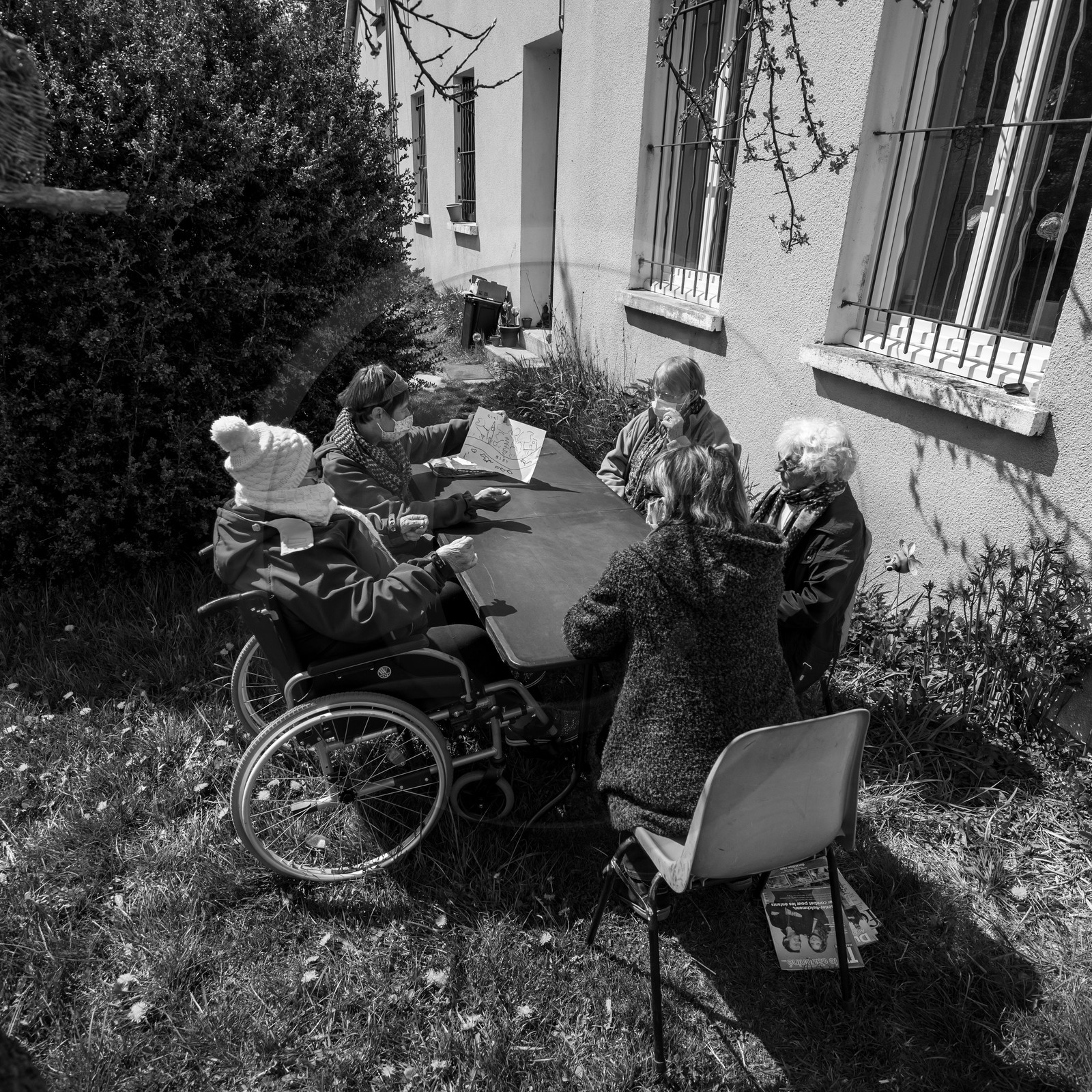 14 avril 2021 : collages, taille, jardinage