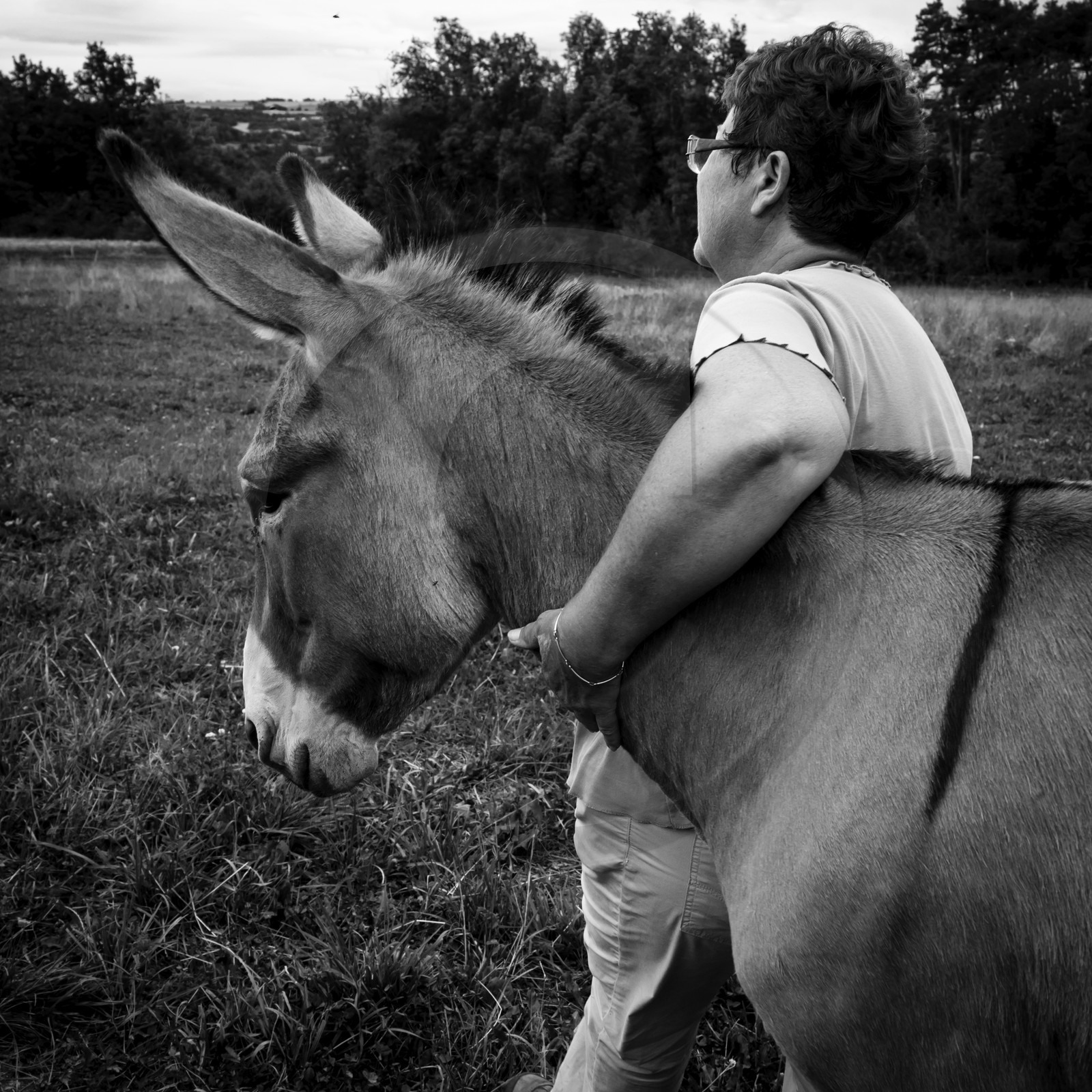 L'asinerie Le sentier des ânes