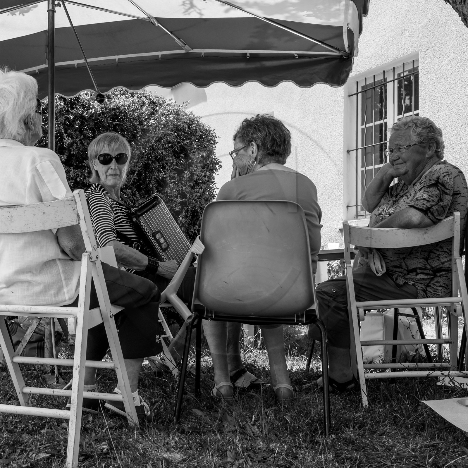 21 juin 2017 - Installation des épouvantails