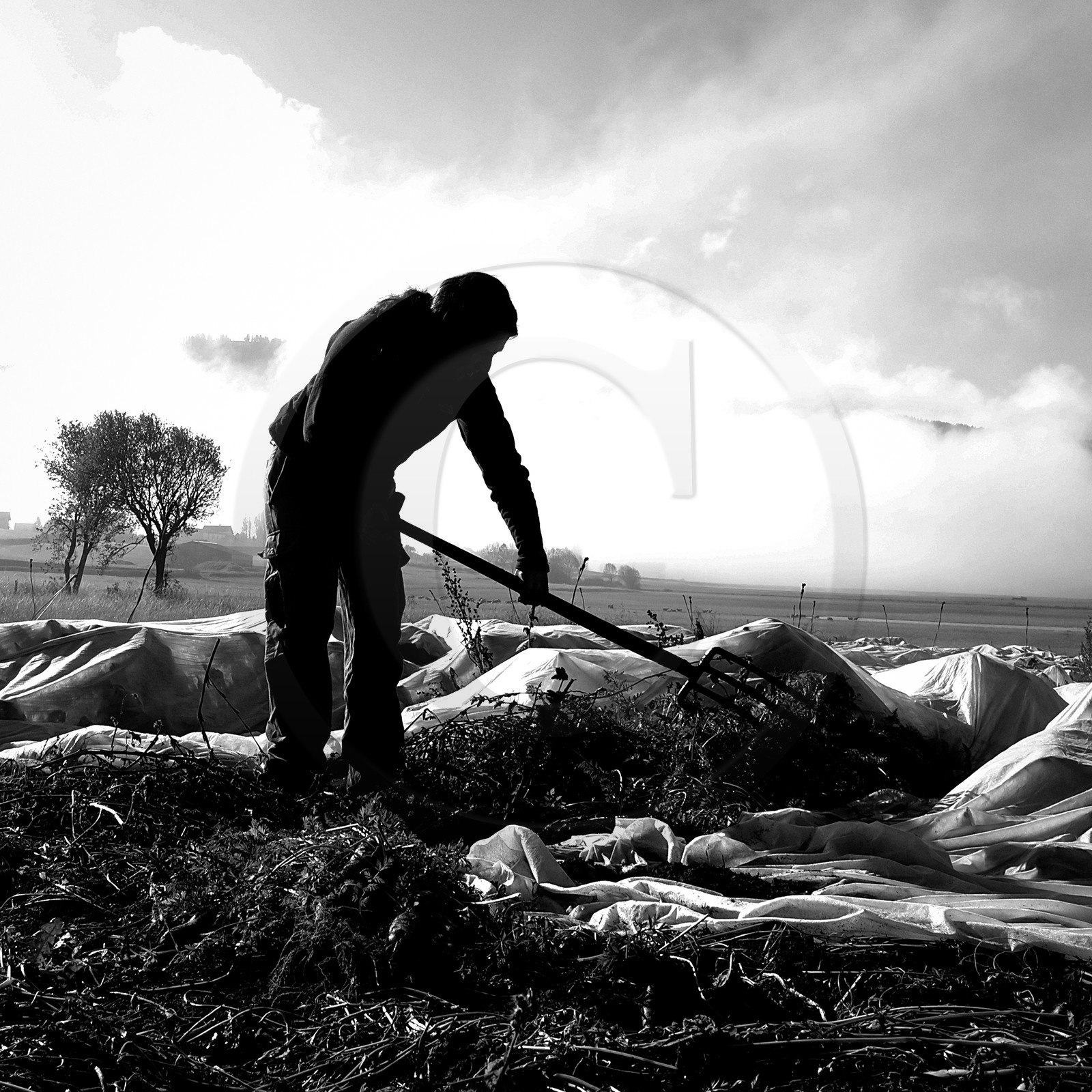 Sophie Jaussaud, maraichère à Ancelle