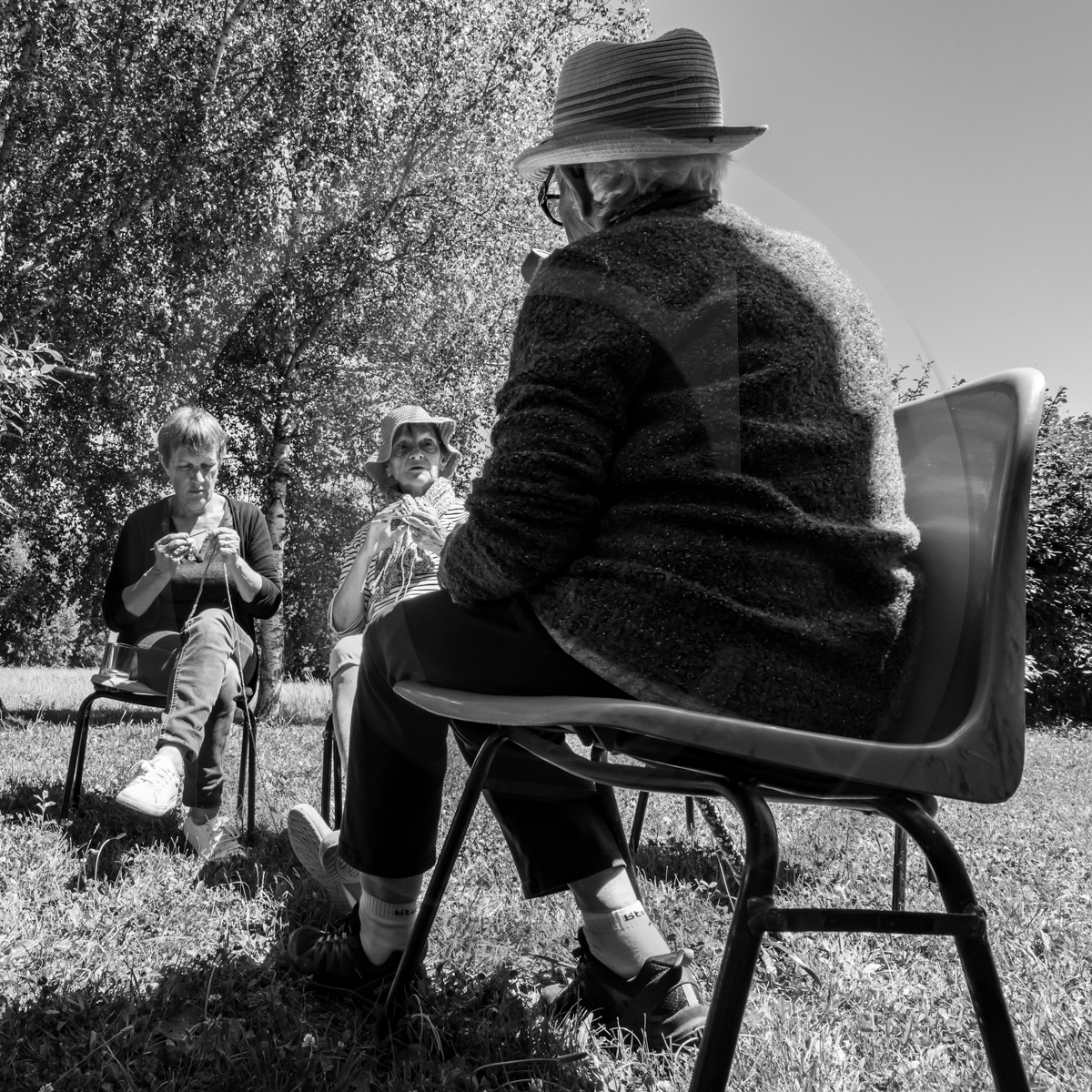 Journée des aidants et des aidés