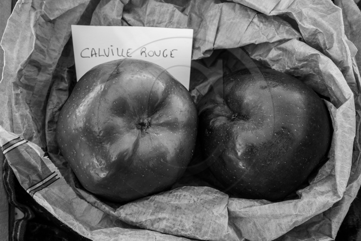 05 novembre 2022 : des pommes et des soupes