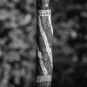 27 octobre 2021 : Un sentier et une réunion