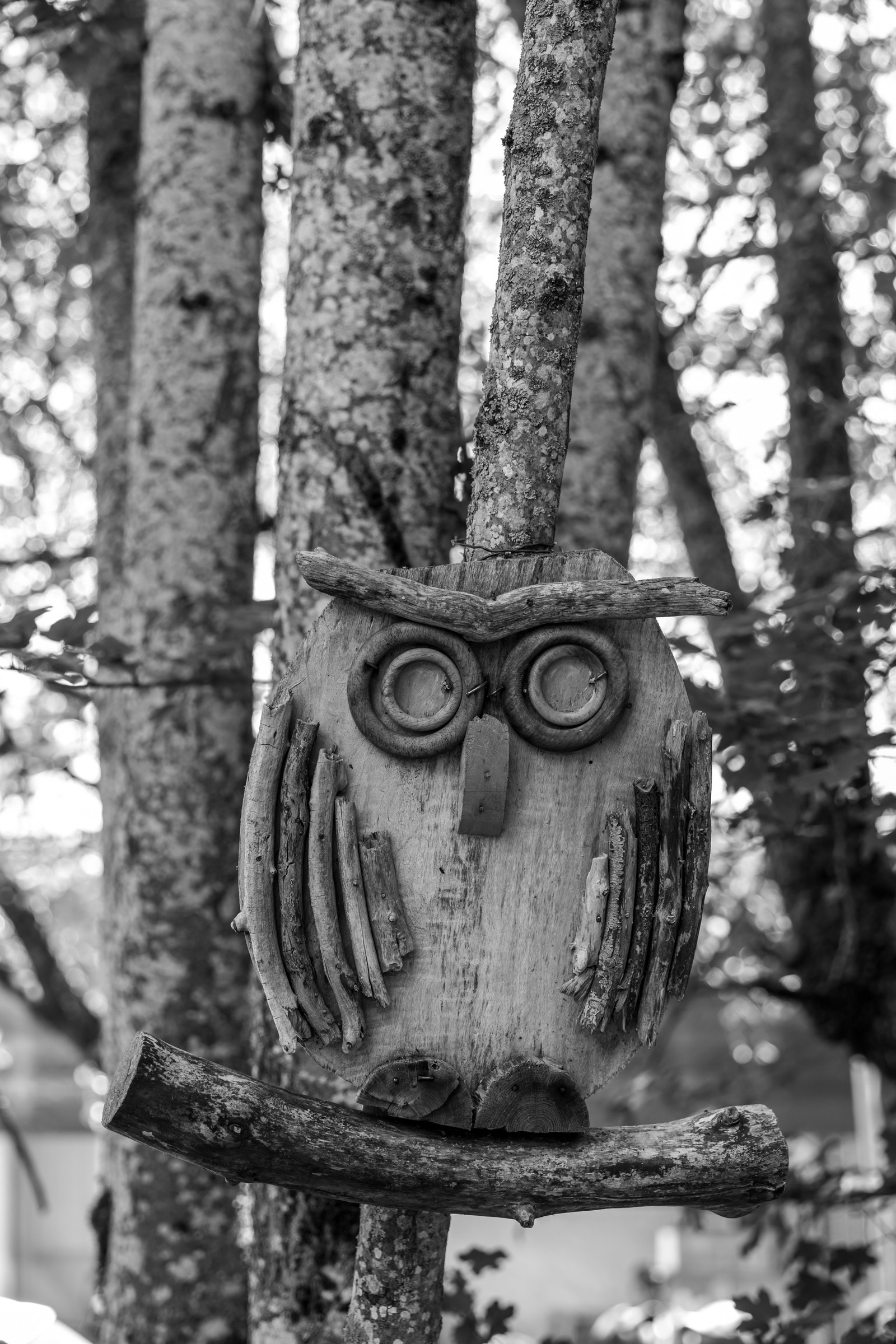 16 juillet 2025 : Les Triplettes