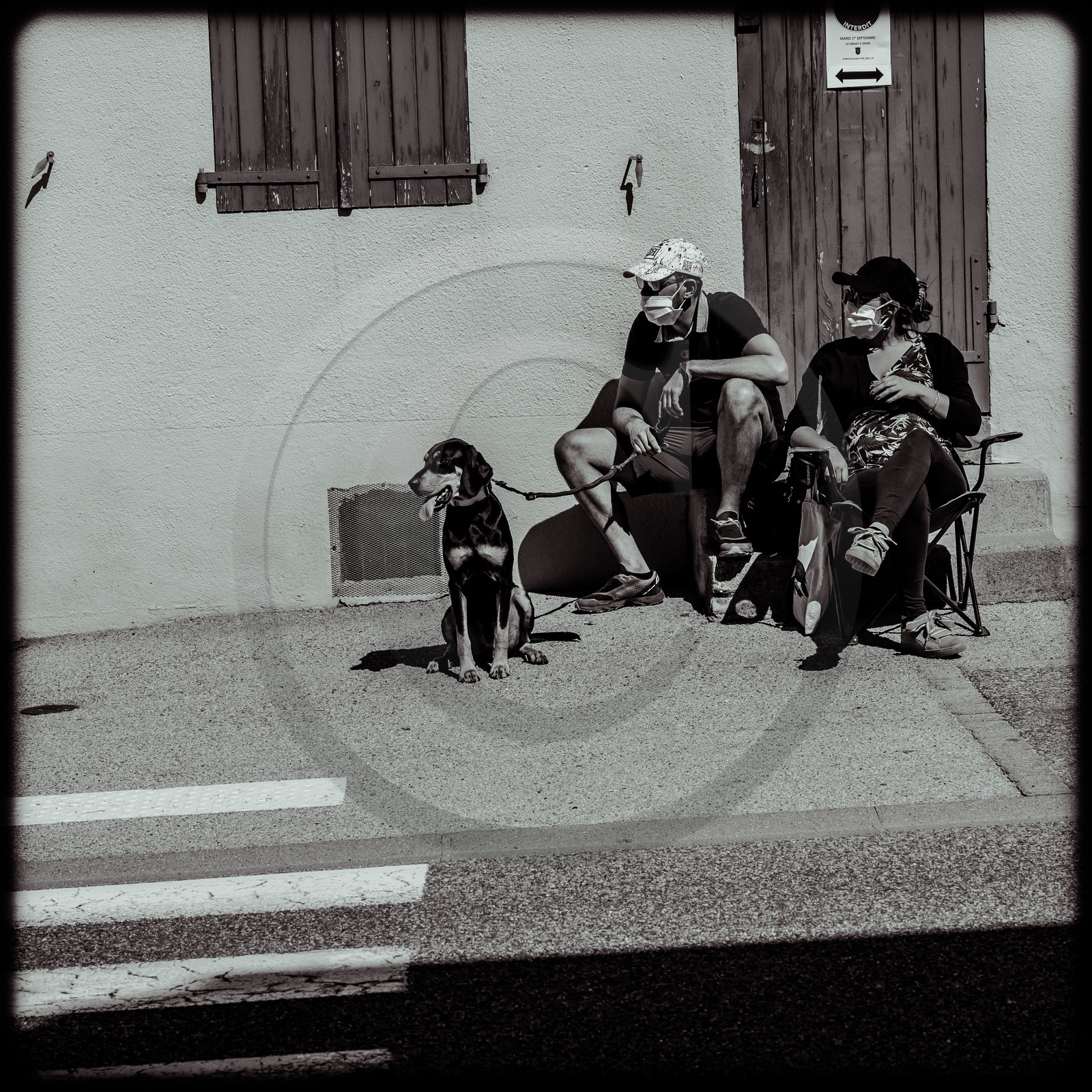 Tour de France cycliste 2020 Tour de France cycliste 2020